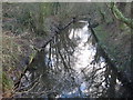 Beverley Brook on Wimbledon Common