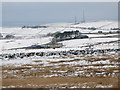 Snowy farmland around Moorhouse Gate