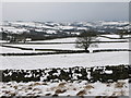 Pastures above Shieldburn Hall (3)