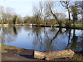 TQ1355 : Spring Grove, Pond by Colin Smith