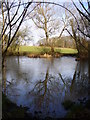 Pond on Common Edge