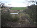 Pond viewed from bridge at the bottom of Hagg Hill