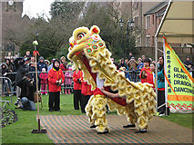 NT4936 : The Lion Dance by Walter Baxter
