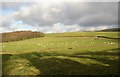 View from the rear of Beamsley Hospital, Beamsley