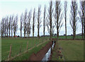 Drainage Ditch, Lawton, Shropshire