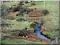 SH3439 : The incised meanders of Afon Rhyd-hir north of Melin Bodeilian by Eric Jones