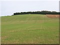 Ewelme Downs