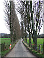 Lane from Lawton Farm, Shropshire