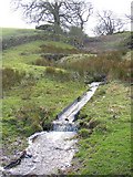 SE0652 : Stream near Hawpike Farm, Draughton by Humphrey Bolton