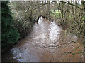 Garren Brook at Llangarron