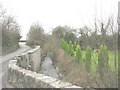 Afon Rhyd-hir a minor road and an ornamental garden