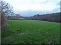 Grazing land near Budacombe