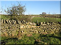 Footpath to Catton