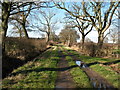 Track across Helperby Moor