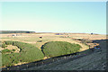 Farms adjacent to the Den of Fathie