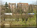 Houses in The Park