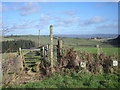 Footpath to Crinkling Wood