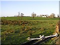 Derryhirk Townland