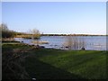 Lough Neagh, Bartin