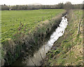 East Hams Lane, minor tributary of  R. Parrett