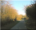 Country road east of Moelypenmaen