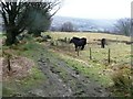 Byway to Pentre-Piod