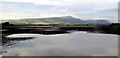 Flooded fields