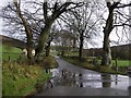 Road at Altaghderry