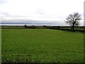 Cregan Townland