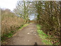 Bridleway near New Rocklands.