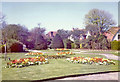 Spring planting at Frinton on Sea, Essex