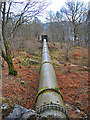 Large pipe taking water to Finlarig power station