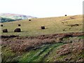 Straw bales on the moorland