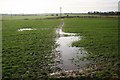 Waterlogged footpath