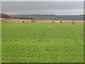 Winter crops, Garvock