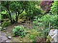 Japanese garden in Giggle Alley Woods, Eskdale Green