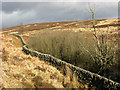 A drystane dyke near Little Tarras Water