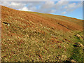 The south west slopes of Hog Hill