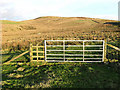 A gate on Broom Hill