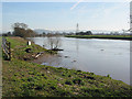 SO7816 : River Severn south of Calcott's Green by Pauline E