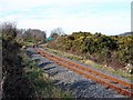 SN6080 : Vale of Rheidol Railway track by John Lucas
