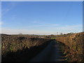 Ffordd Wledig ger Bryn Wyre, Lledrod / Country Lane near Bryn Wyre, Lledrod