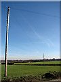 Fields beside Banningham Road