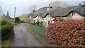 Thatched farm cottages