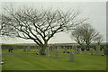 The cemetery near Mauldmoss