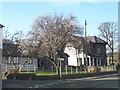 Cherry blossom in early February