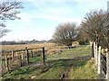 SH5563 : New gate erected across the old Padarn Railway track by Eric Jones