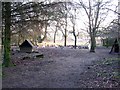 Assorted poultry at Penny Hill Farm