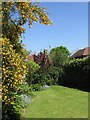 Rear garden in Brimmers Hill