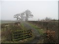 Disused road, Blairingone